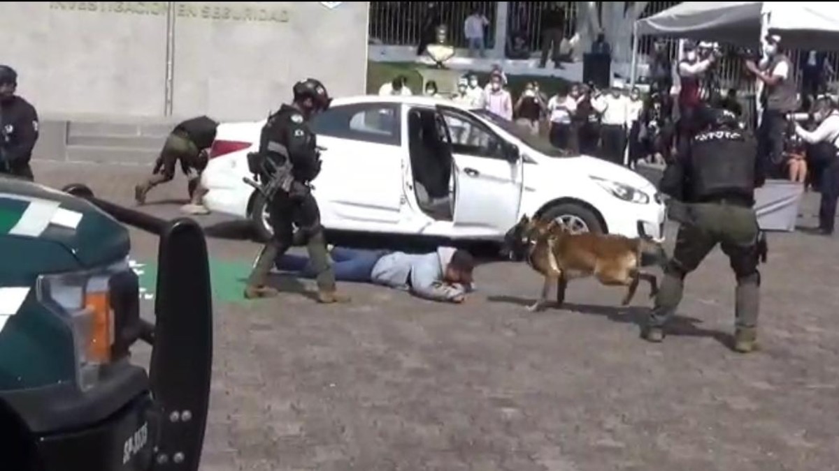Veracruz capacita a policías de Latinoamérica en adiestramiento canino