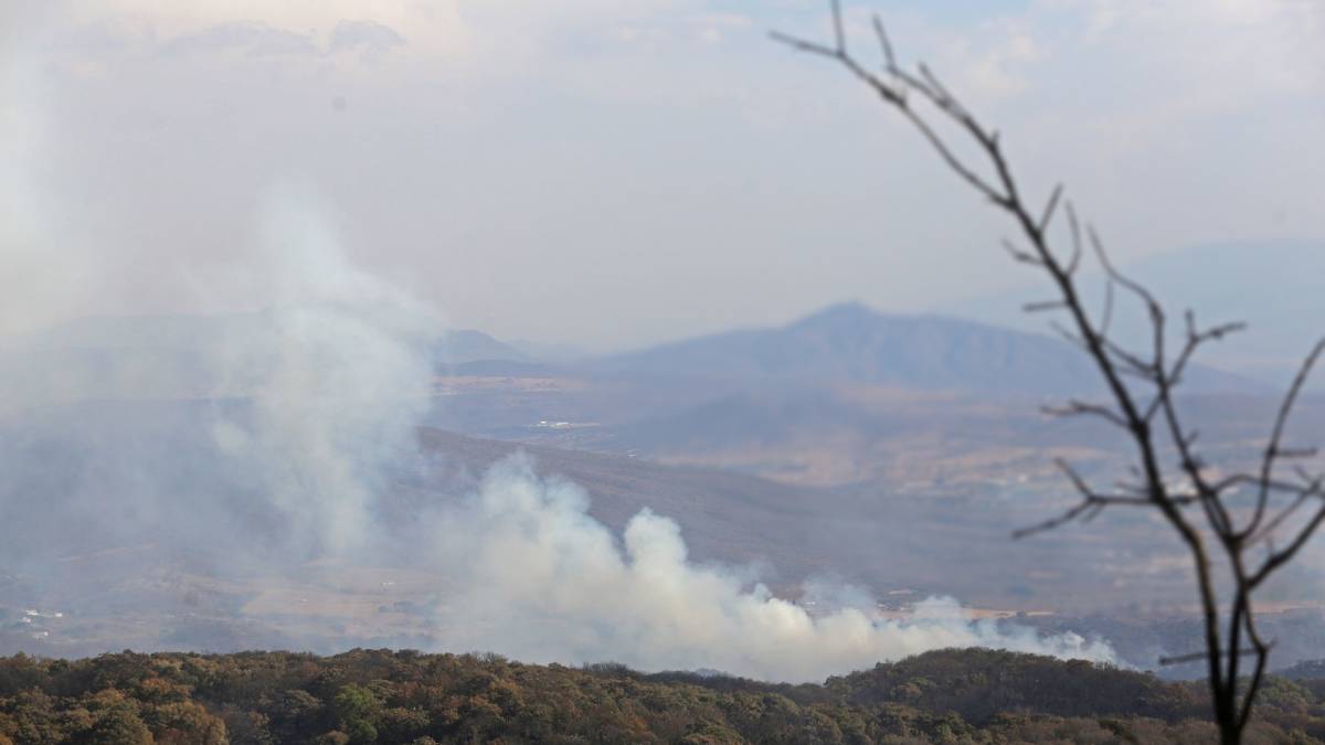 Reportan incendios forestales en Huixquilucan y Cuautitlán Izcalli