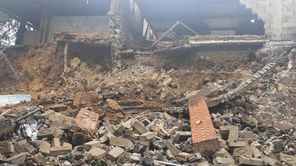 Cerro cae sobre albergue para perritos en CDMX; hay canes atrapados