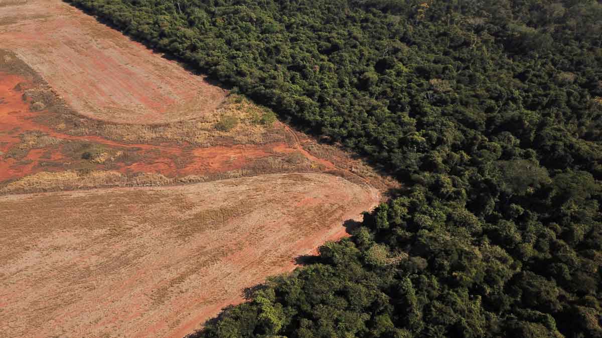 Incrementa deforestación en la Amazonía; deja en duda promesas de Bolsonaro por salvar la selva