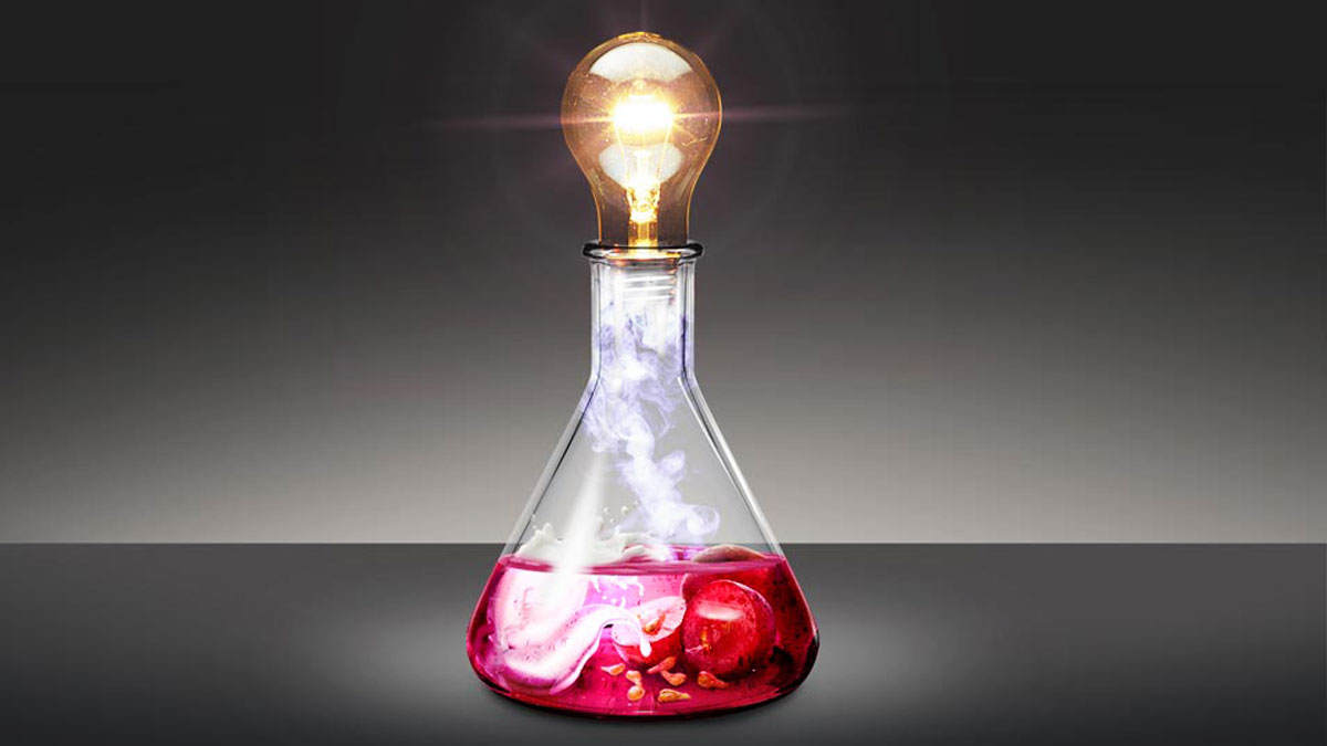 UNAM produce electricidad… ¡con vino y queso!