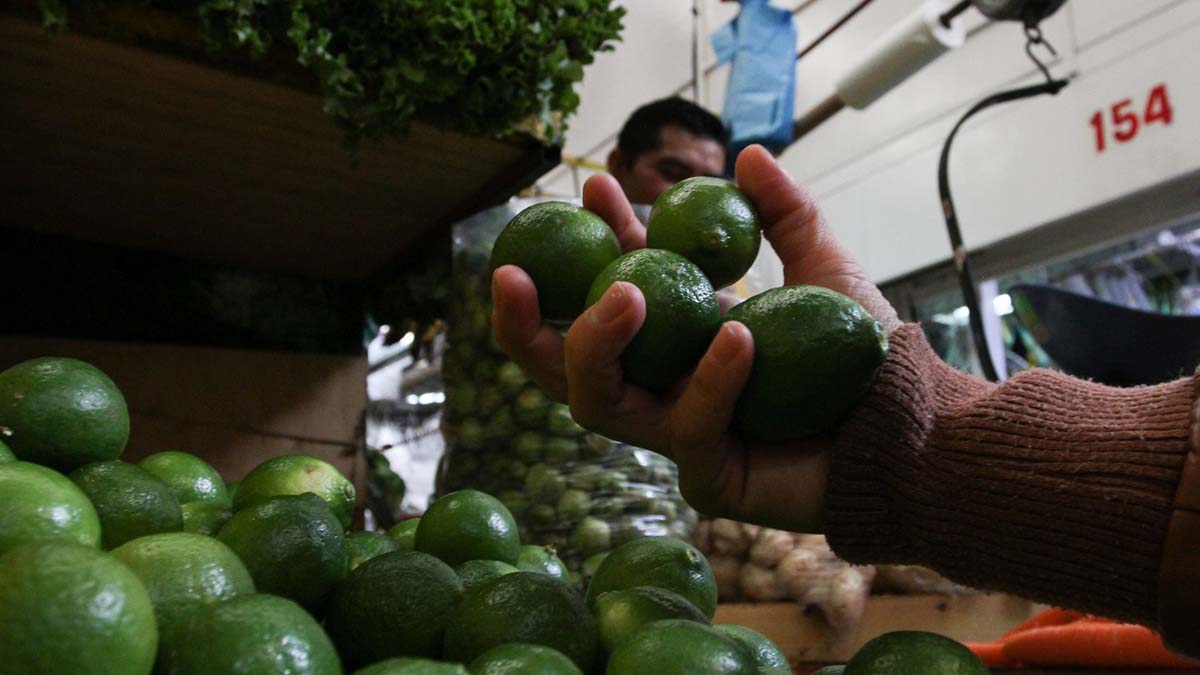 ¡Por eso subió el limón! Crimen organizado amenaza y extorsiona a productores