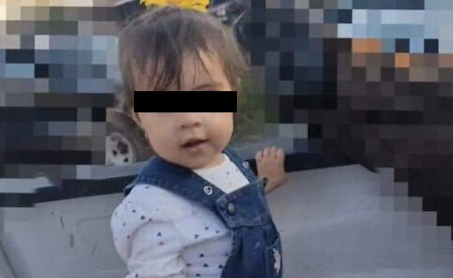 Muere niña de 2 años en Jalisco al ingerir galleta con la que querían envenenar a su perrito