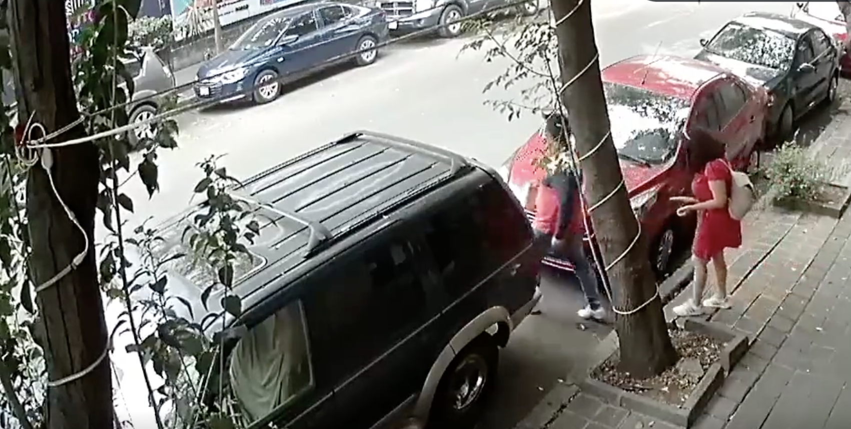 Se salvan de ser aplastados por árbol en CDMX, aquí el video