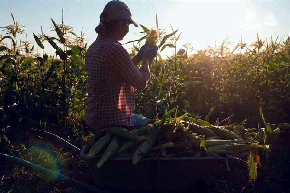 Queda lejos la prometida autosuficiencia alimentaria