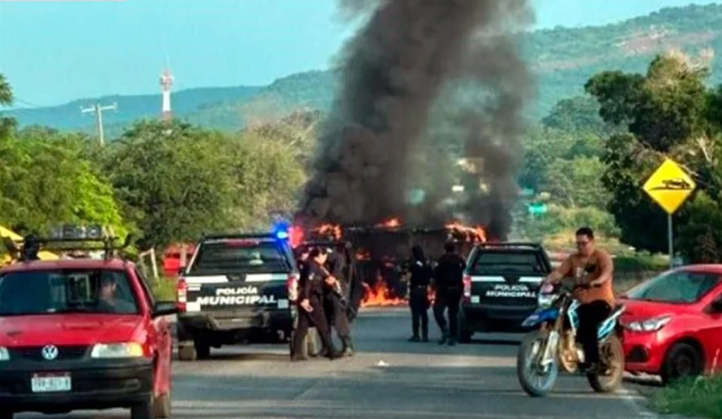 Pelean criminales los ‘oros verdes’ en Michoacán