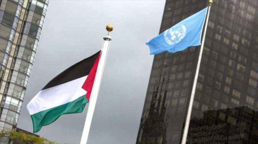 El Consejo de Seguridad está debatiendo la posible adhesión de Palestina a la ONU; ¿cuáles son los factores determinantes?