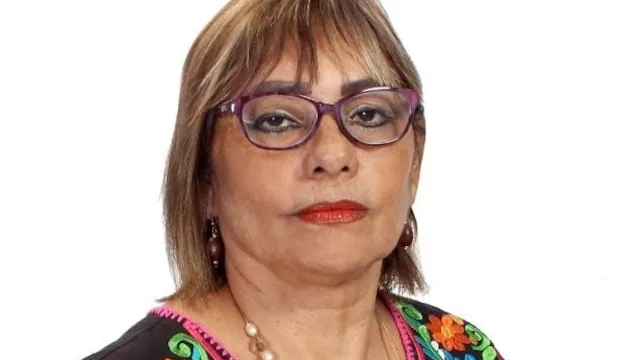 Diputada de Morena, sin título ni cédula profesional, propone eliminar la tesis para titulación
