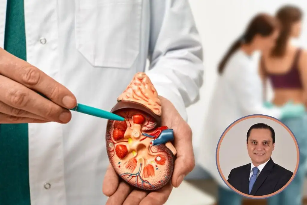 Enfermedad renal afecta a 12% de los mexicanos; advierten sobre detección tardía